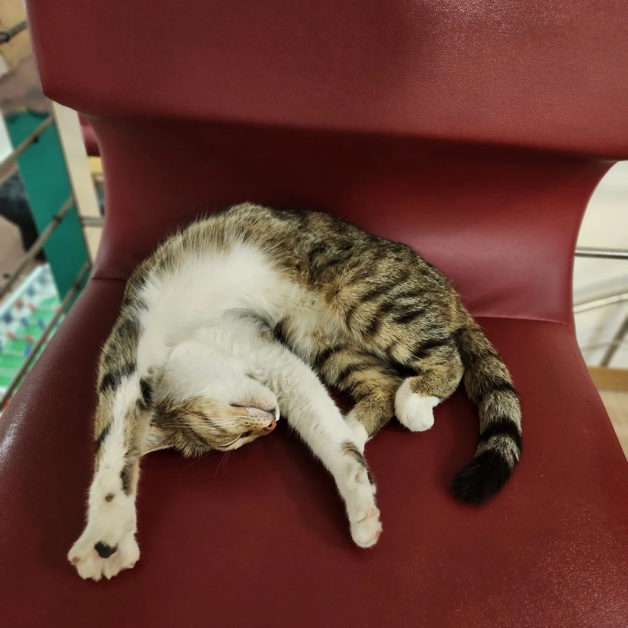 KakaoTalk_Photo_2023-04-02-16-24-56 005.jpeg