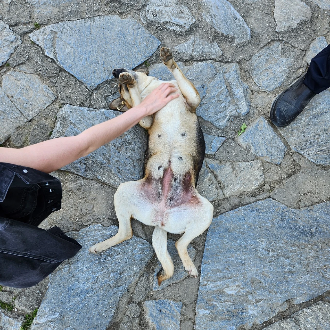 KakaoTalk_Photo_2023-03-30-21-20-31 012.jpeg