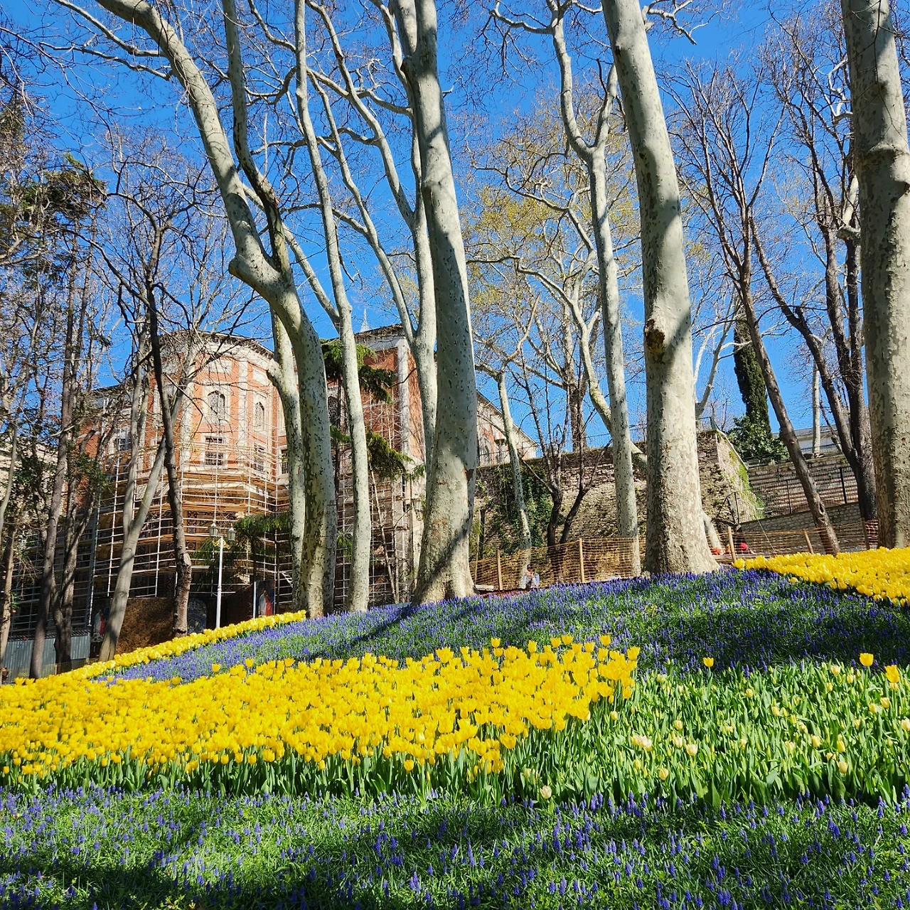 KakaoTalk_Photo_2023-04-09-21-40-17 011.jpeg