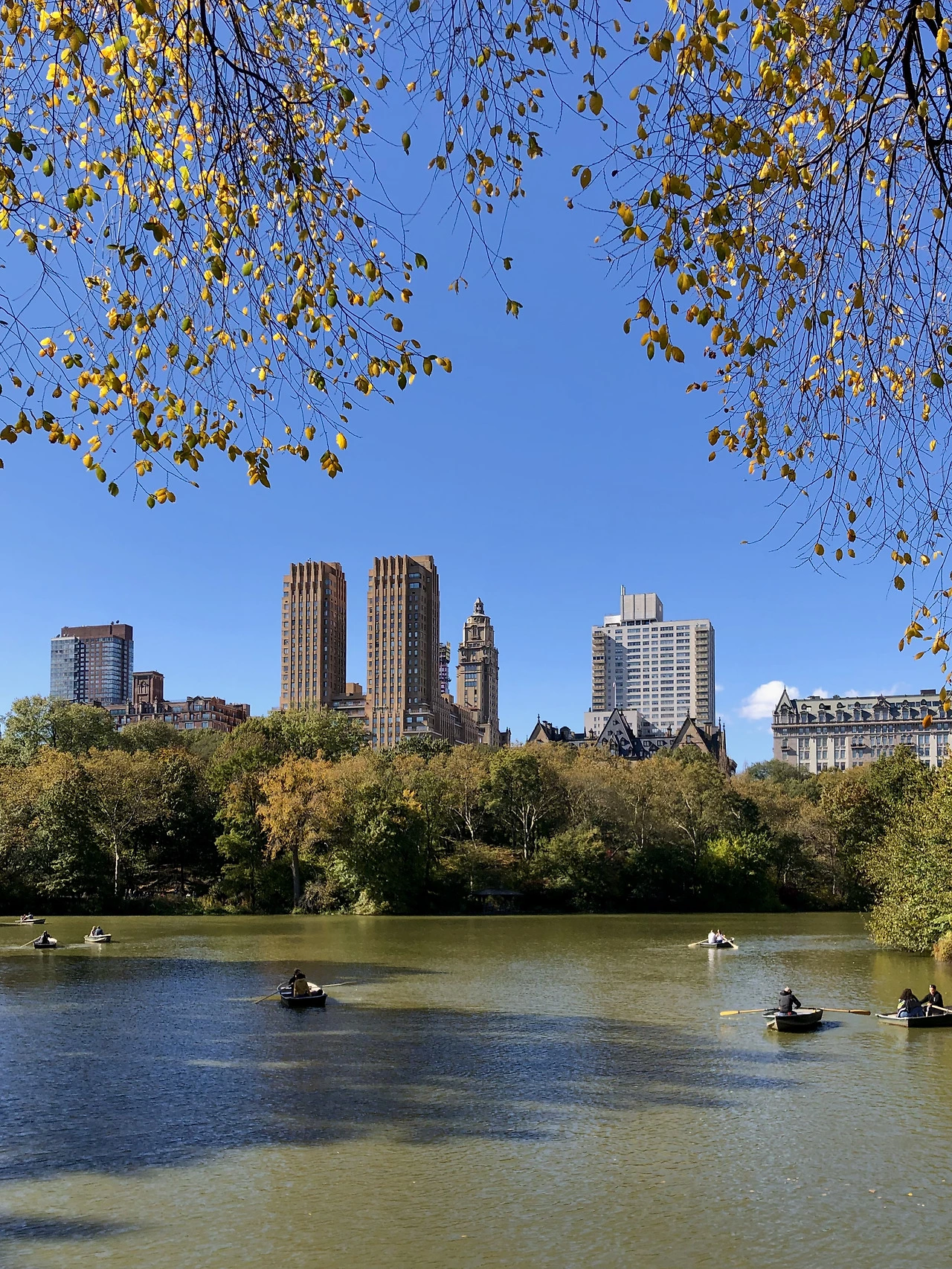 FullSizeRender 3.HEIC