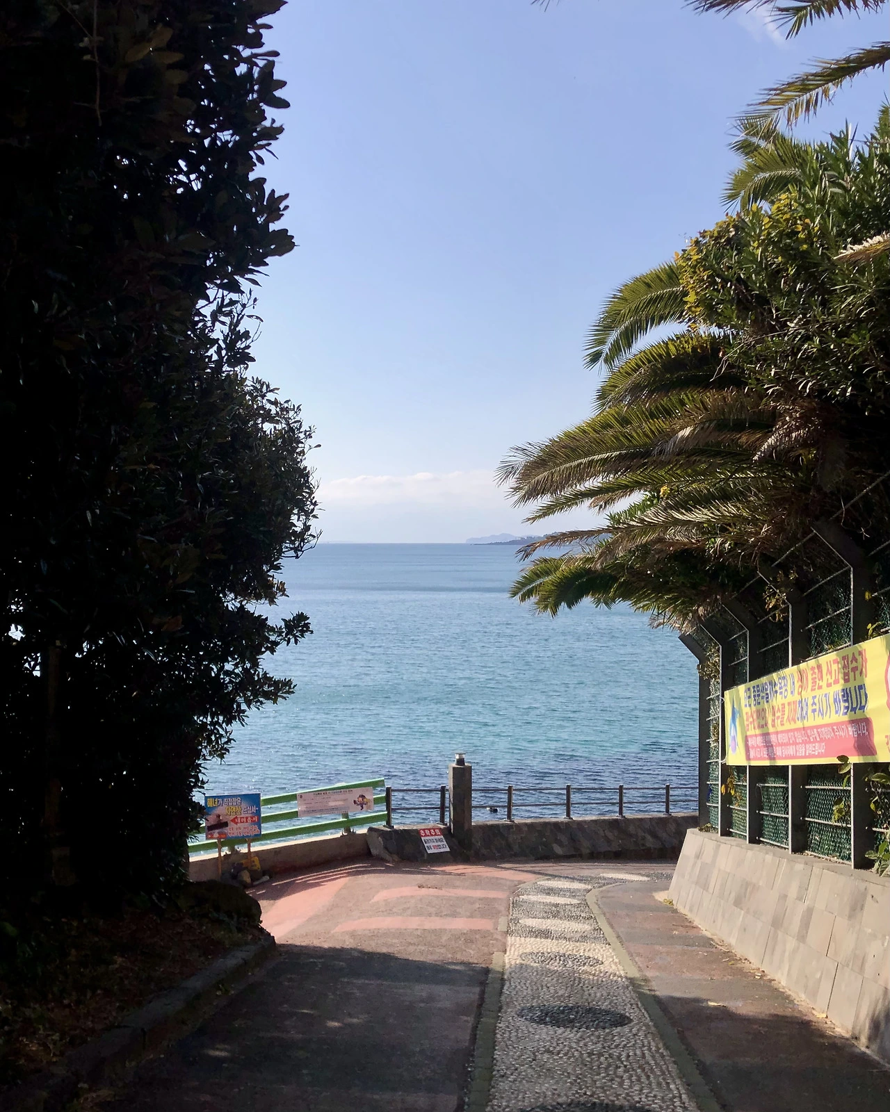 FullSizeRender 5.HEIC