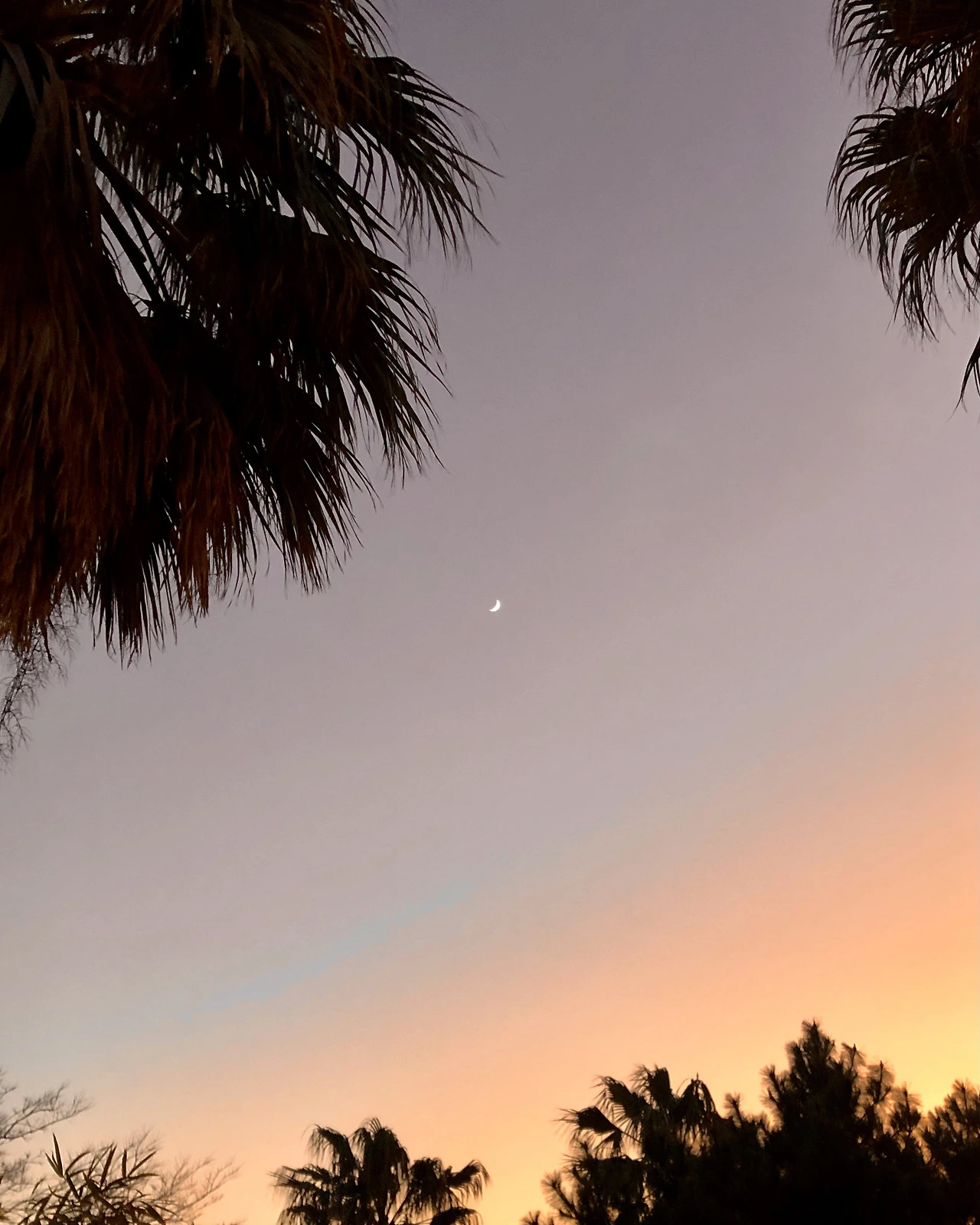 FullSizeRender 7.HEIC