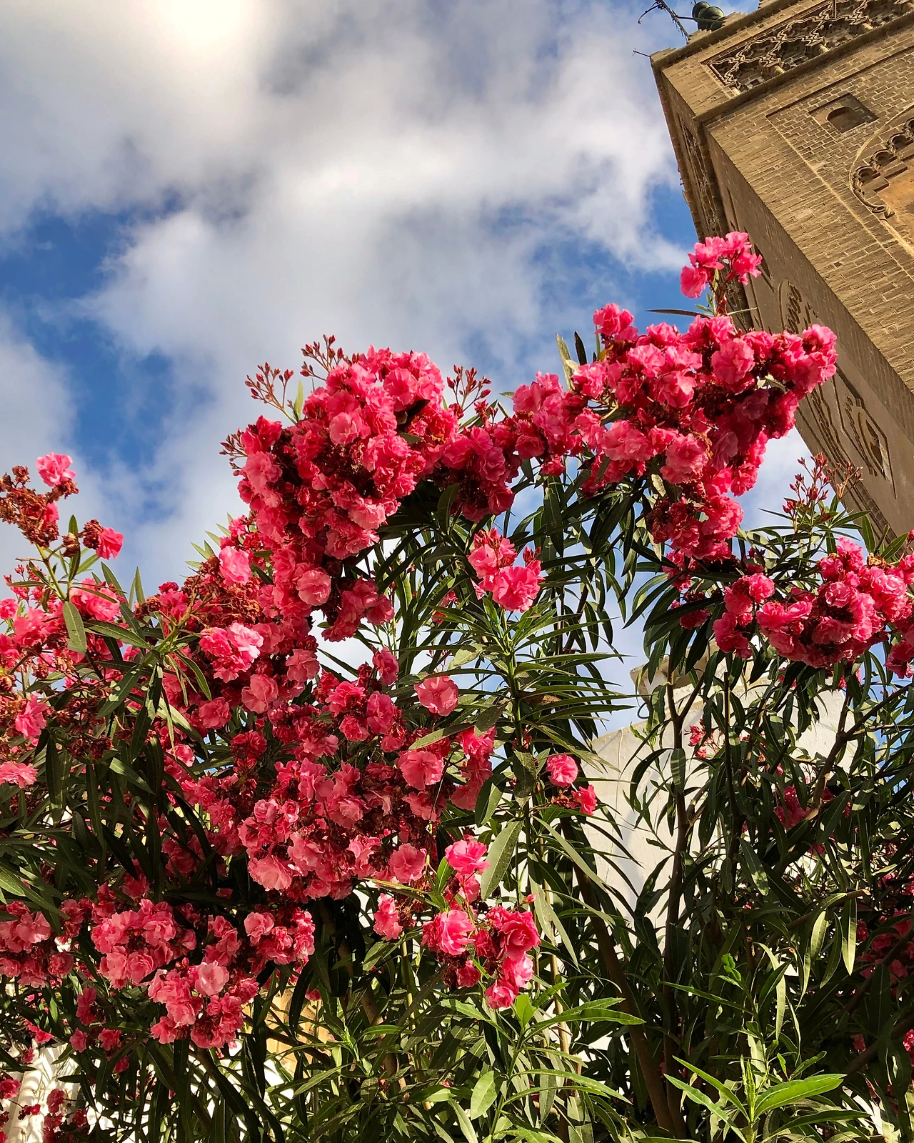 FullSizeRender 4.JPG