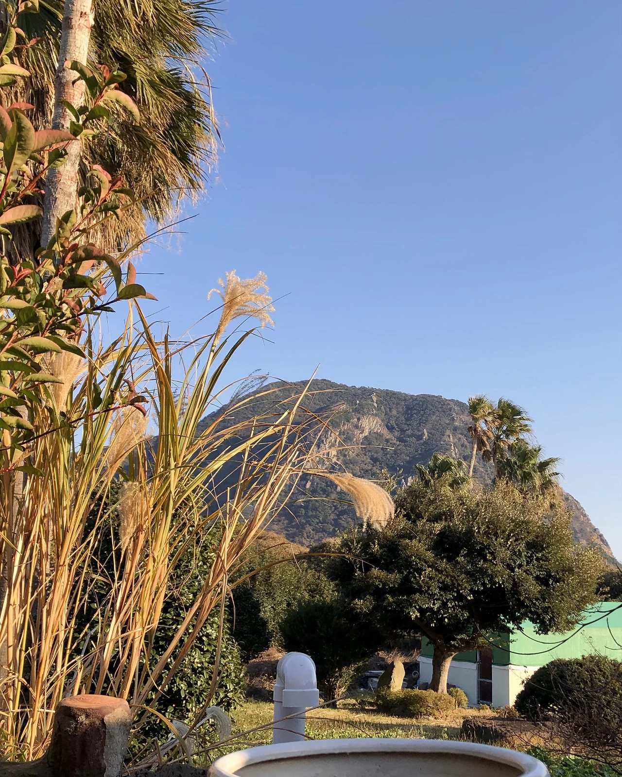 FullSizeRender 3.HEIC