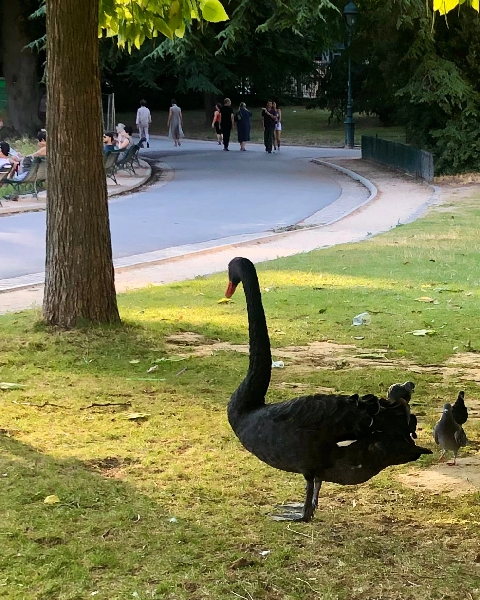 KakaoTalk_Photo_2025-10-05-19-45-21 007.jpeg