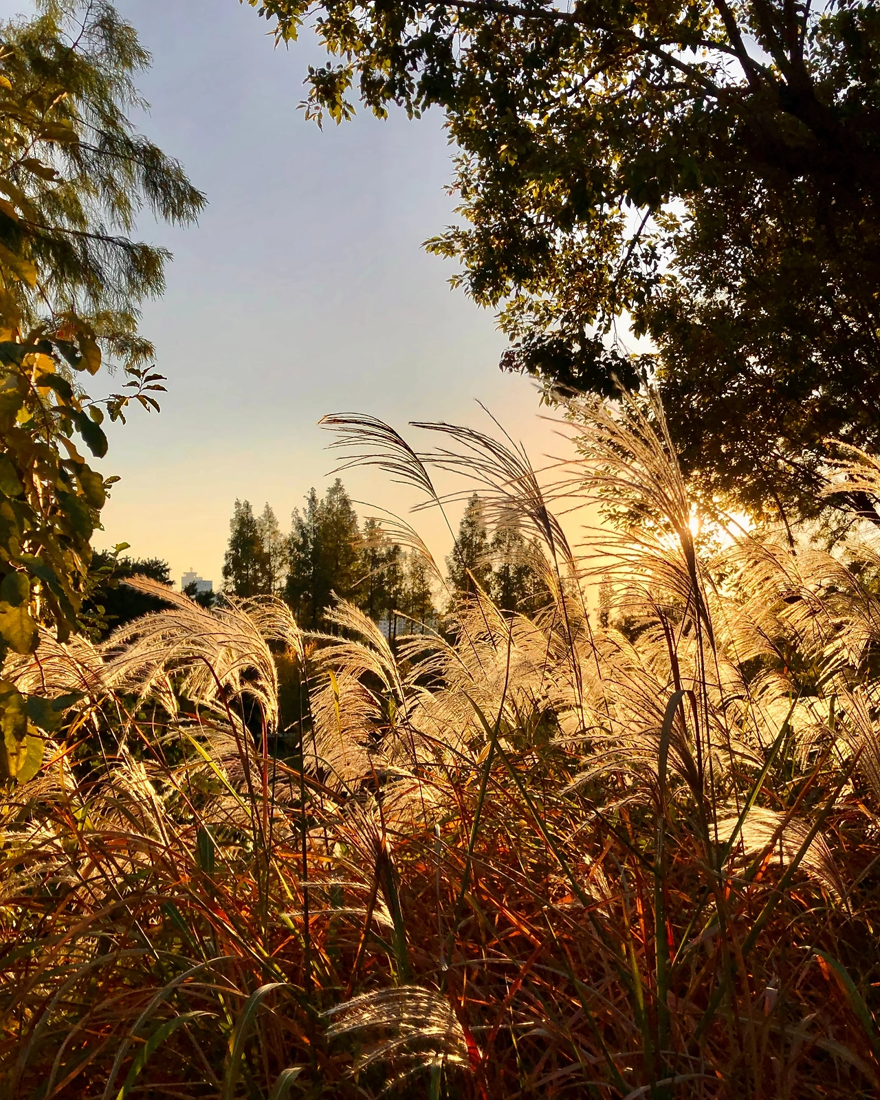 FullSizeRender 2.JPG