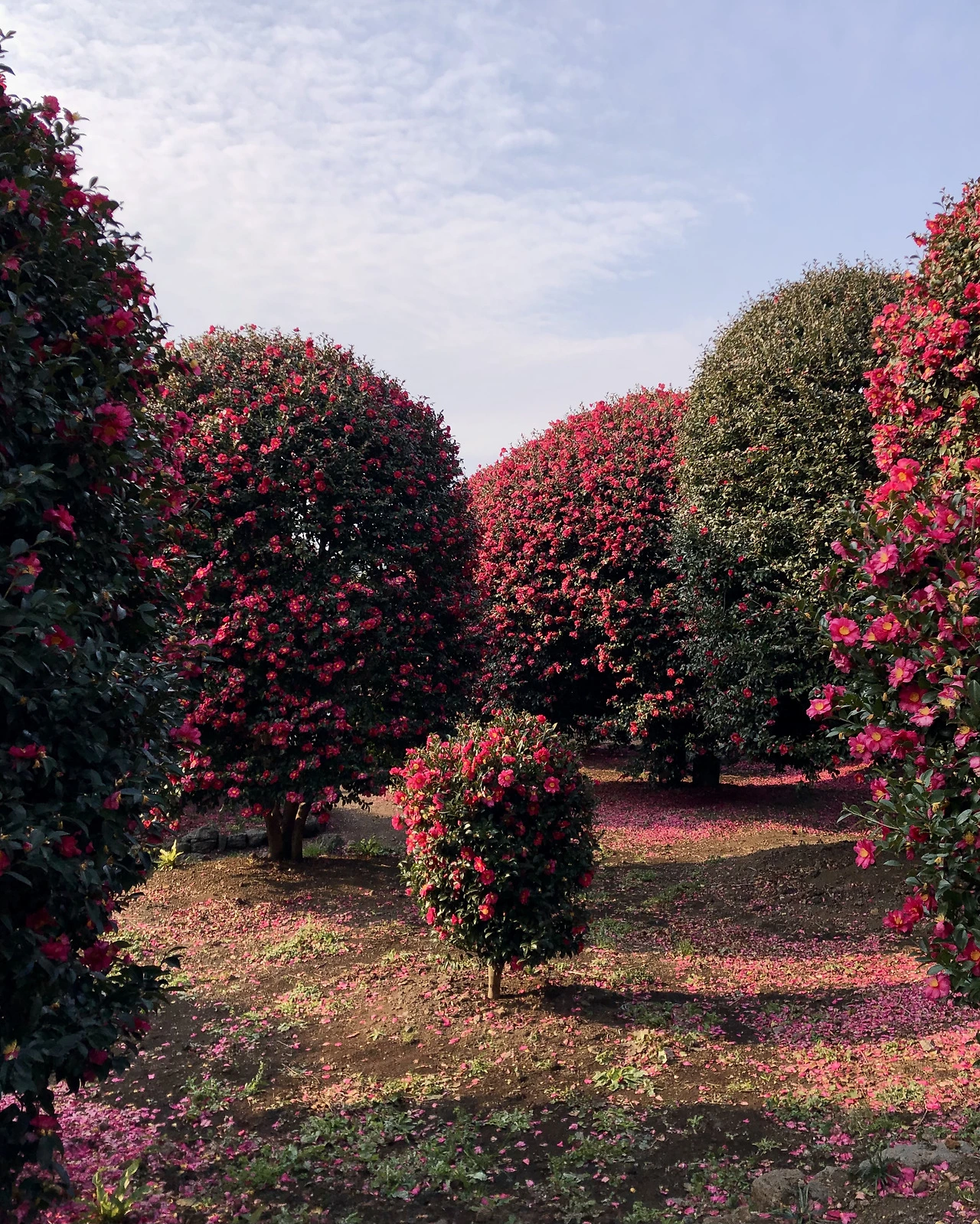 FullSizeRender 2.HEIC