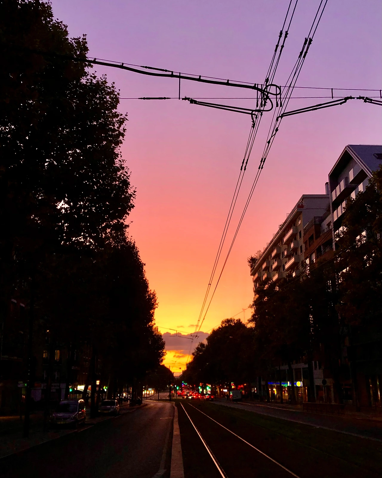 KakaoTalk_Photo_2025-10-05-19-45-21 009.jpeg