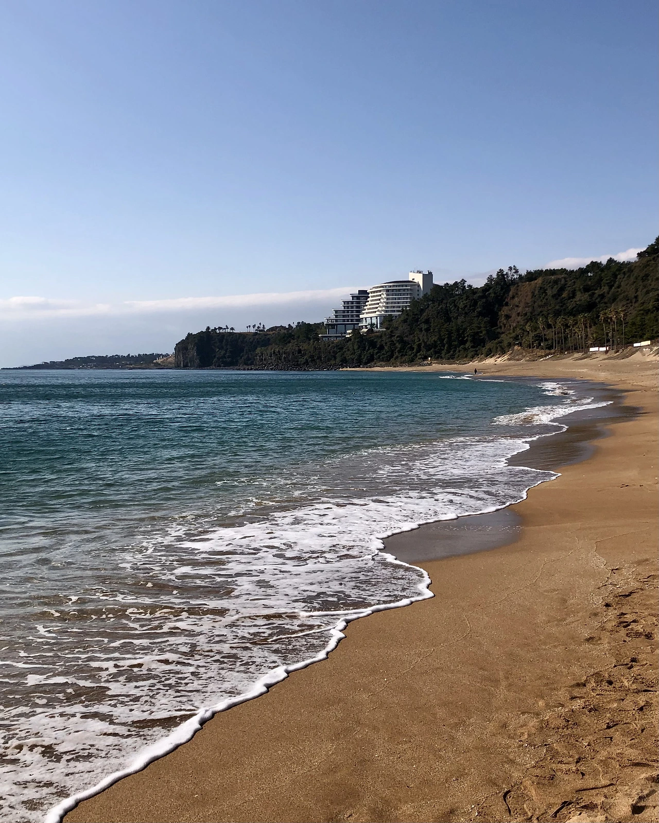 FullSizeRender 4.HEIC