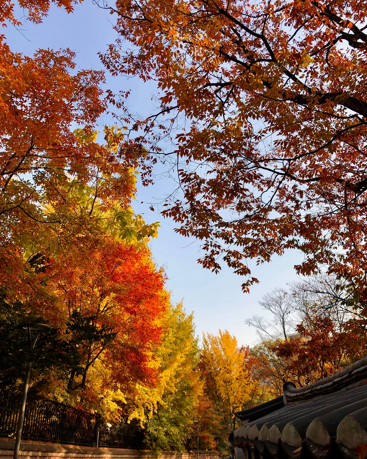 FullSizeRender 3.JPG