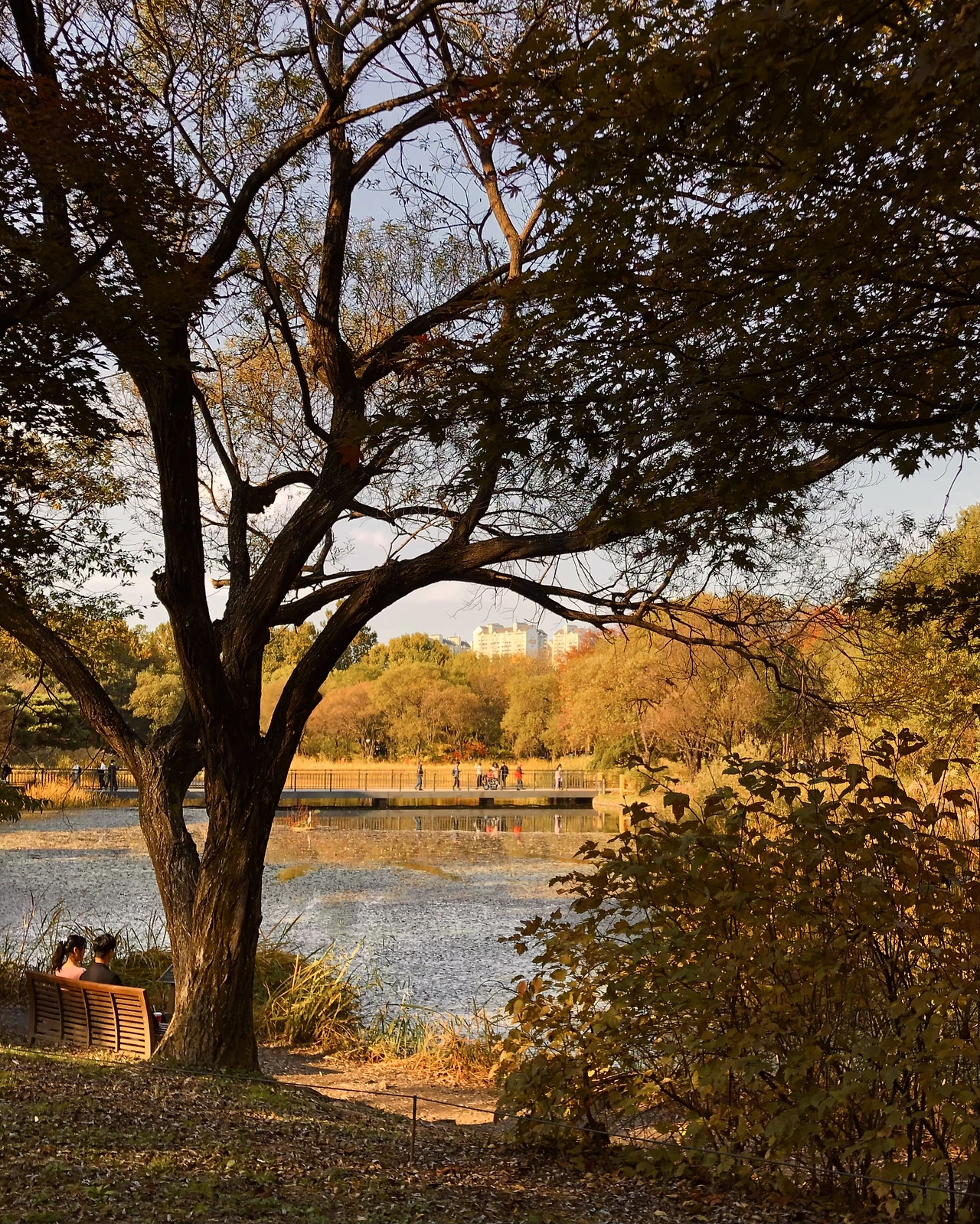 FullSizeRender 2.HEIC