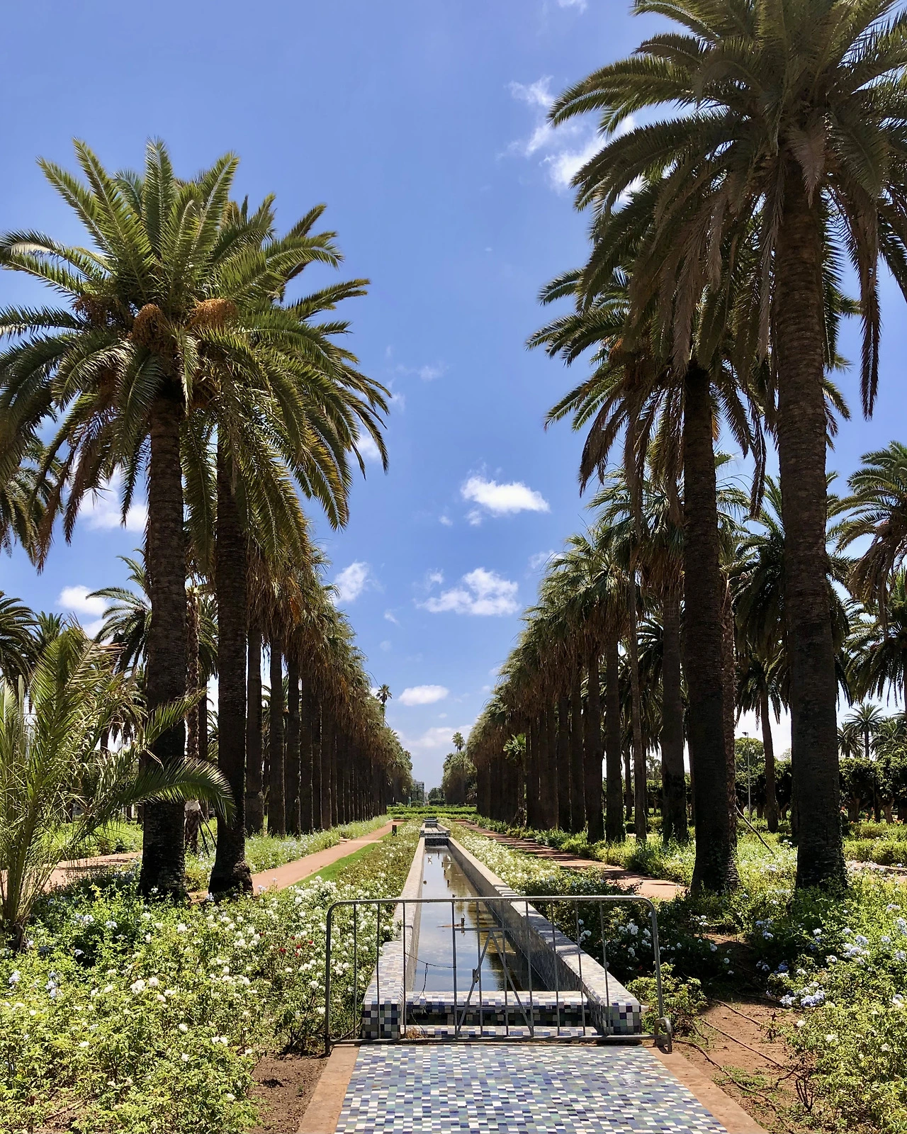 FullSizeRender 4.HEIC