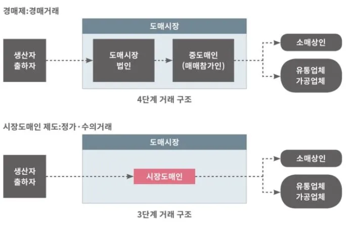 시사인 시장도매.JPG