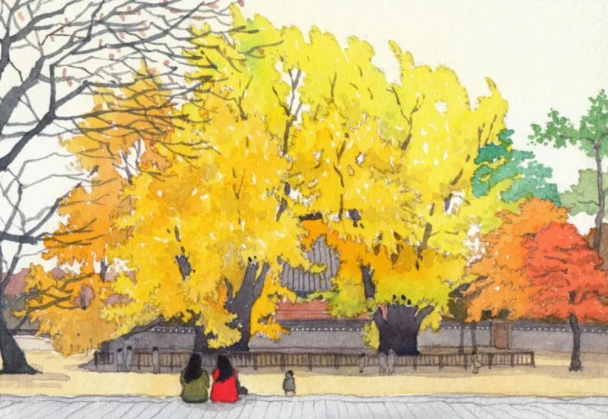 명륜당 은행나무.JPG