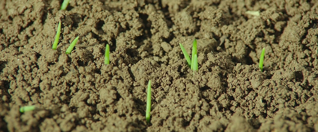 15 흙은 생명의 보고다.PNG