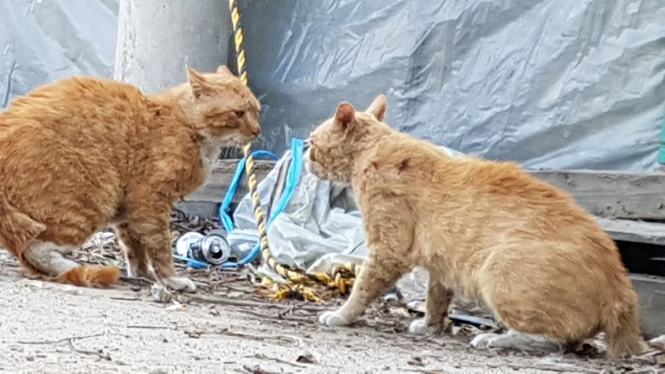 KakaoTalk_20220111_145728134.jpg?type=w1