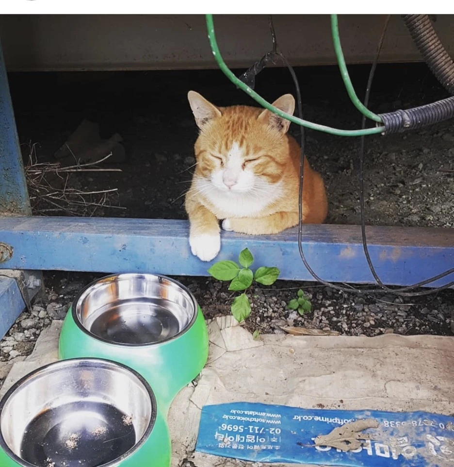 KakaoTalk_20211225_140603946.jpg?type=w1