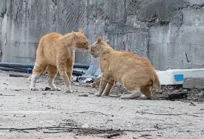 %EC%9B%90%EB%82%A8%EB%91%90%EB%82%A8.jpg?type=w1