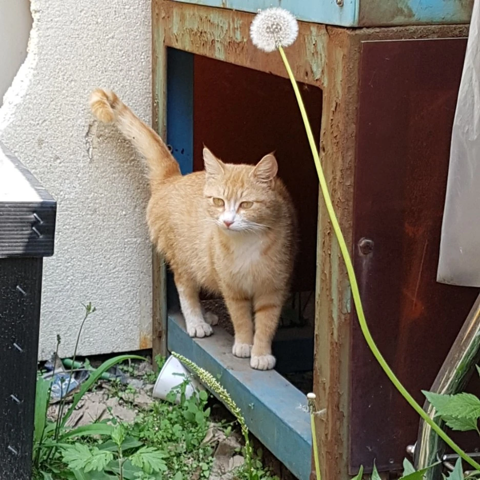 %EC%98%81%EC%8B%AC.jpg?type=w1