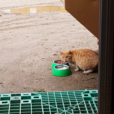 SE-62125b74-2ab0-4bca-8147-9c1dfb8ba922.jpg?type=w1