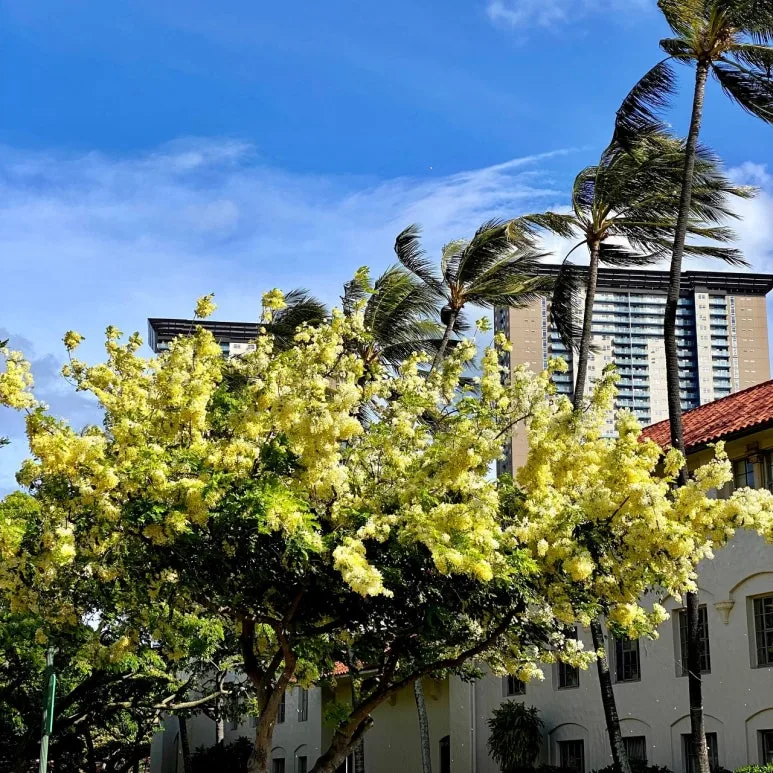 download_(3).jpeg?type=w773