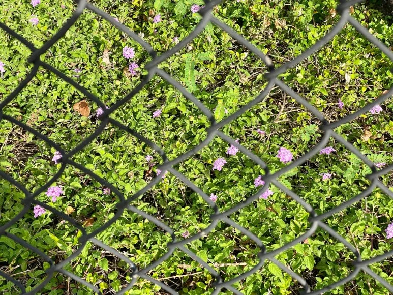 download_(1).jpg?type=w773