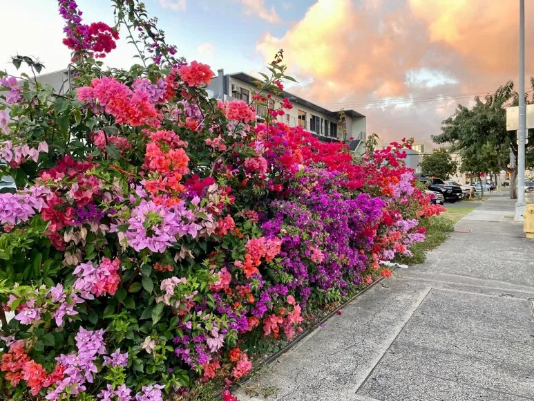 download_(1).jpeg?type=w773