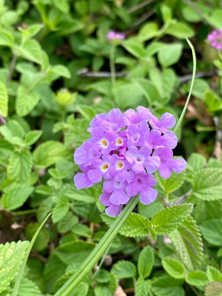 download.jpg?type=w773