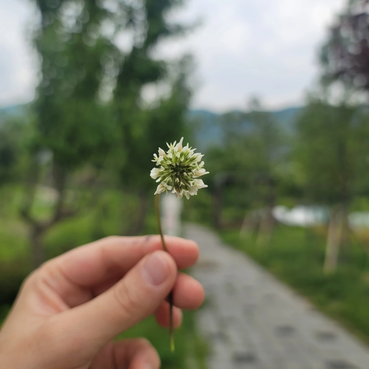 20230503%EF%BC%BF124847.jpg?type=w1600