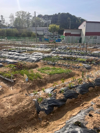 Tvv59ckfrCGqHuz7mveQu25nw9g