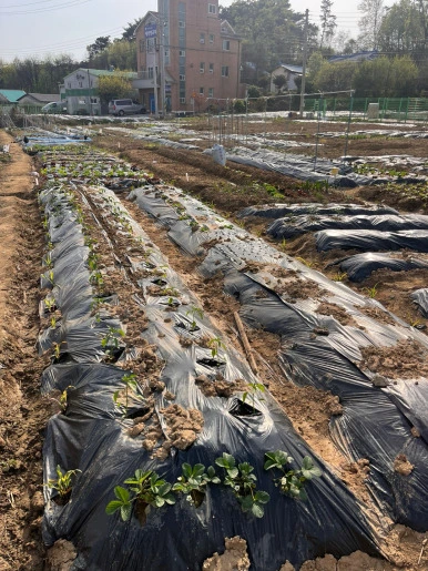 k4h_eRtd7GOOP6VxpZ0vSqlysvc