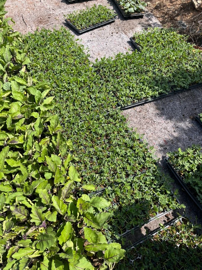 KakaoTalk_Photo_2024-05-01-09-29-49.jpeg?type=w773