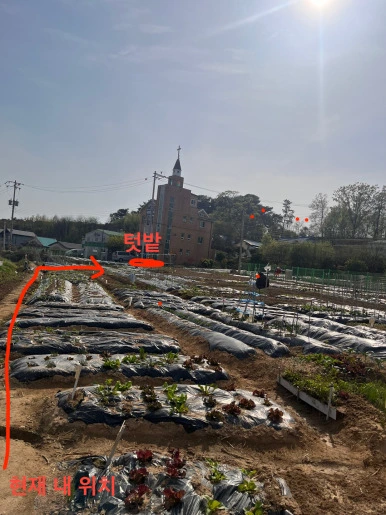 vGpZResealXPnCVtEIQ_RS2ZFhY