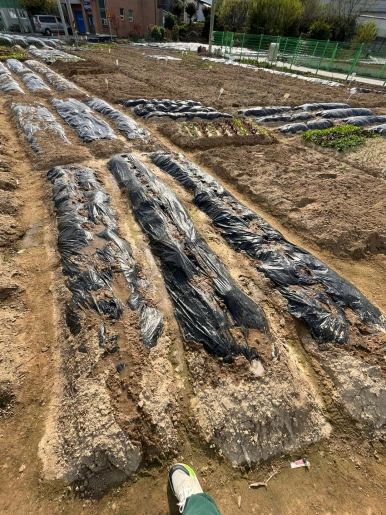 JR8vOPw-lusZTRuAlL32m1gIhxk