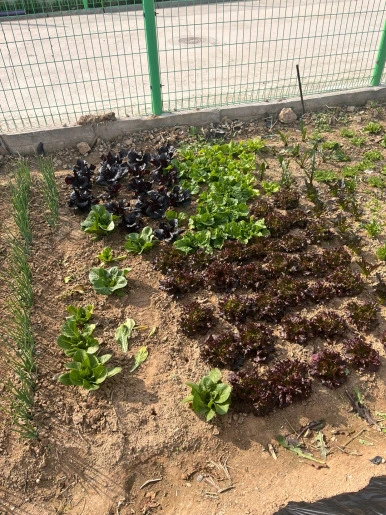 -GJzHzsbjWv9NRaAN1IyBgy6wNc