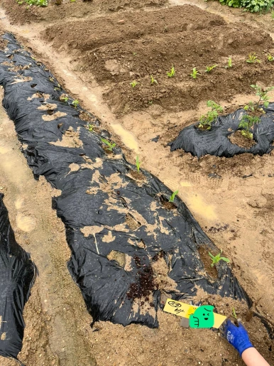 SE-d2f88a56-ad47-43c3-ba08-7ae9bcd60128.png?type=w386