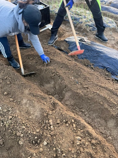 F9jp1P_Sq1RMMpnrNTQnlK1qioY