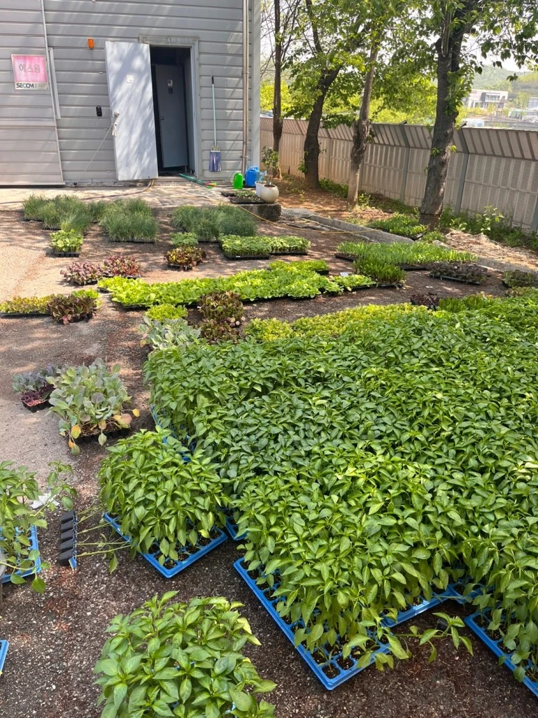 KakaoTalk_Photo_2024-05-01-09-30-11.jpeg?type=w773