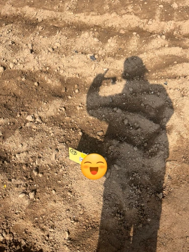 SE-f9a7a516-81a3-4d64-818f-1b57a025ba1d.png?type=w386