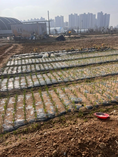 2fdtwXGZqsPacoVXvvwcfPoPAQk