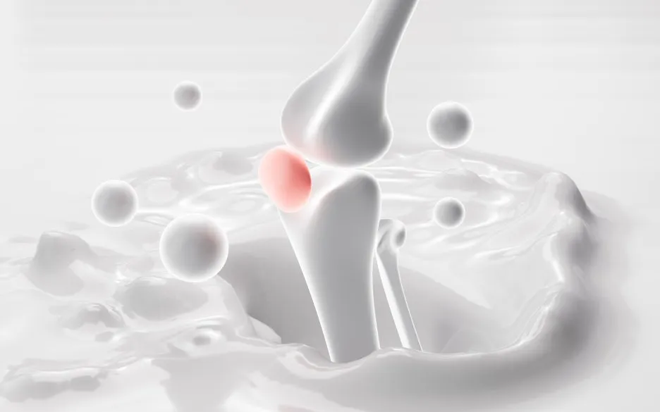 CK_td06320004172.jpg?type=w1