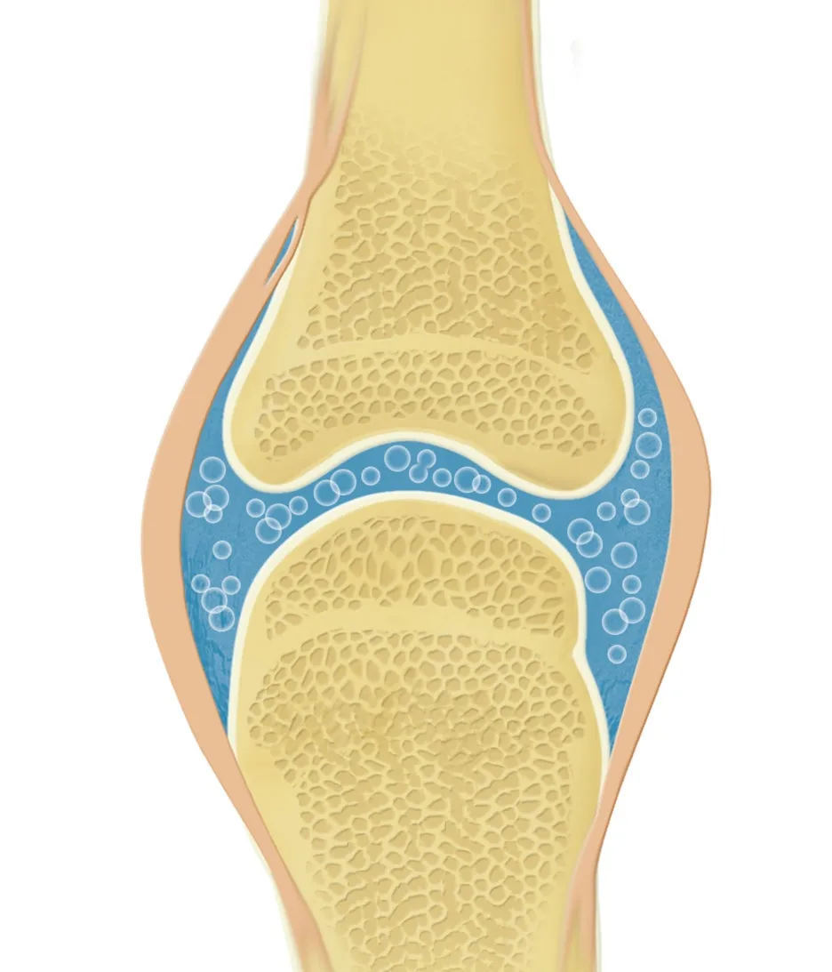 CK_pc004488472.jpg?type=w1