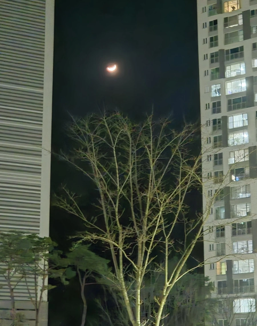 1712188631410.jpg?type=w3840