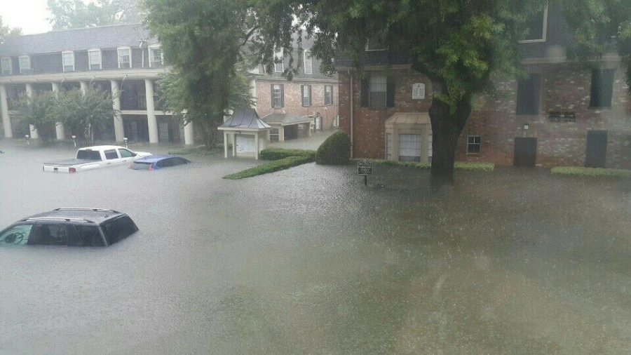 1504156628500.jpg?type=w966