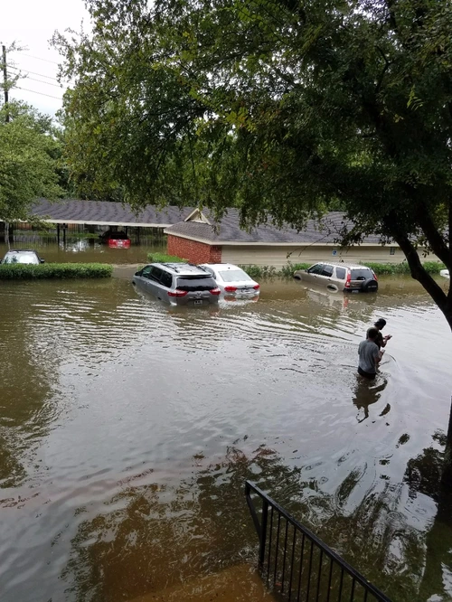 image_5637534961503951747487.jpg?type=w966