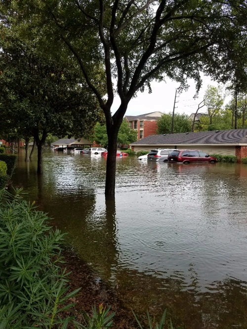 image_4554487861503951747484.jpg?type=w966