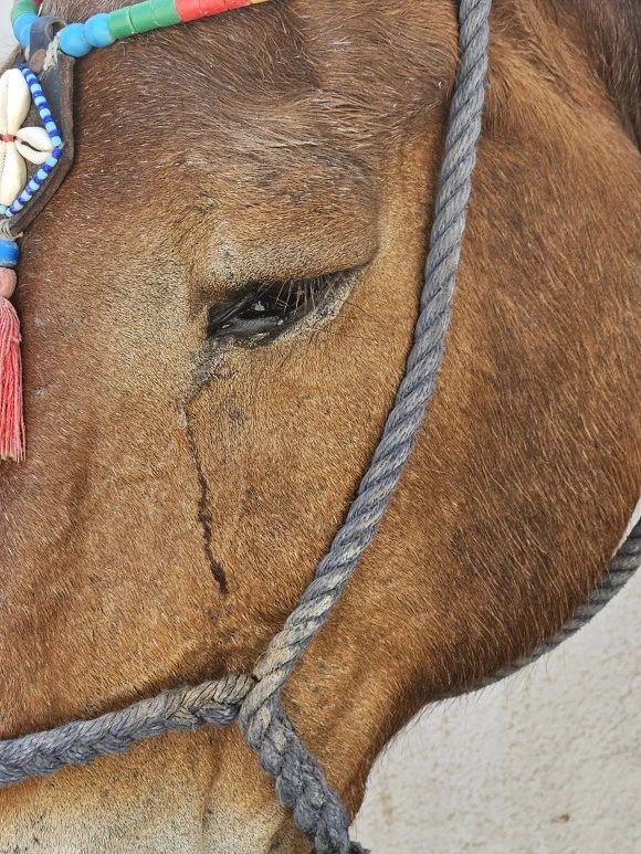 20230619_145952.jpg?type=w580