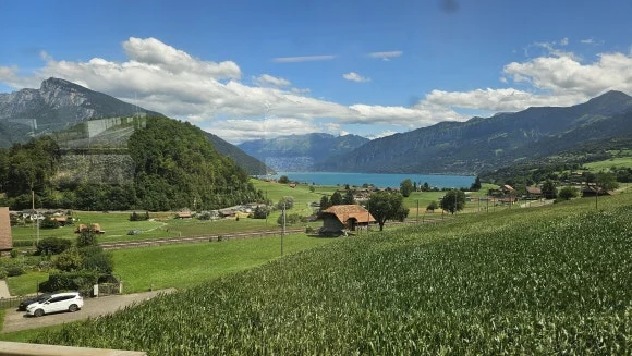 20230803_140808(0).jpg?type=w580