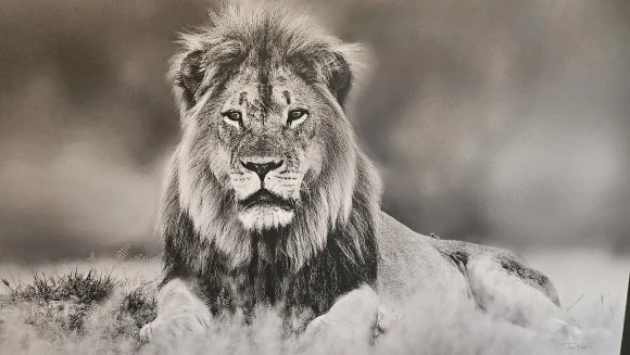 20230831_144824_-_%EB%B3%B5%EC%82%AC%EB%B3%B8.jpg?type=w580