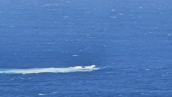 20230821_150741.jpg?type=w580